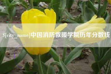 灯塔中国消防救援学院历年分数线