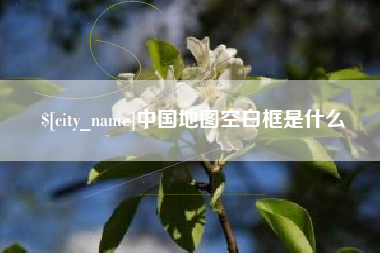 灯塔中国地图空白框是什么