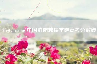 灯塔中国消防救援学院高考分数线