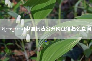 灯塔中国执法公开网征信怎么查询