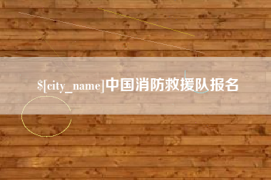 灯塔中国消防救援队报名