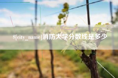 灯塔消防大学分数线是多少