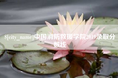 灯塔中国消防救援学院2019录取分数线