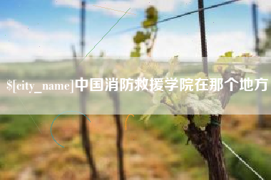 灯塔中国消防救援学院在那个地方