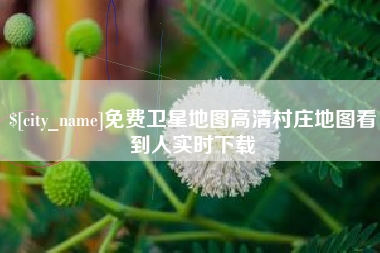 灯塔免费卫星地图高清村庄地图看到人实时下载