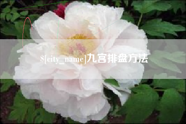 灯塔九宫排盘方法