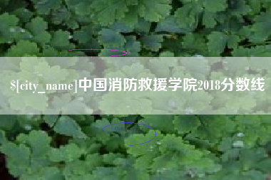 灯塔中国消防救援学院2018分数线