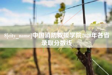 灯塔中国消防救援学院2020年各省录取分数线