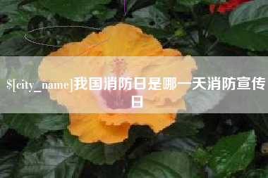灯塔我国消防日是哪一天消防宣传日