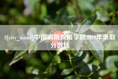 灯塔中国消防救援学院2019年录取分数线