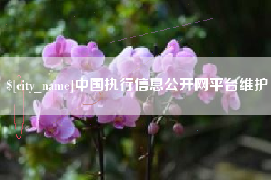 灯塔中国执行信息公开网平台维护