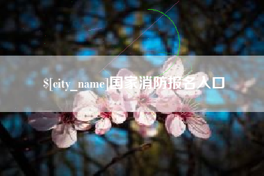 灯塔国家消防报名入口