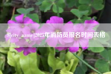 灯塔2025年消防员报名时间表格
