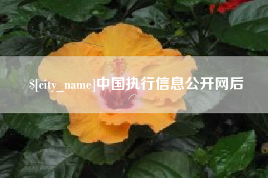 灯塔中国执行信息公开网后