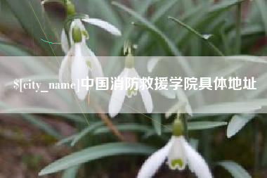 灯塔中国消防救援学院具体地址