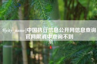 灯塔中国执行信息公开网信息查询官网限消中查询不到