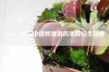 灯塔中国救援消防学院招生简章