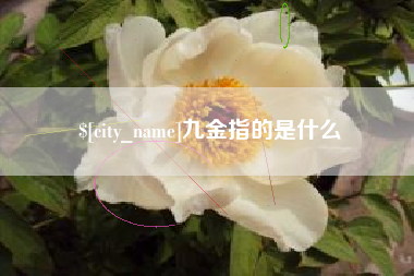 灯塔九金指的是什么