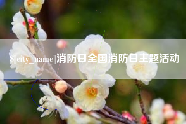 灯塔消防日全国消防日主题活动
