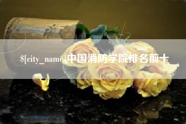 灯塔中国消防学院排名前十