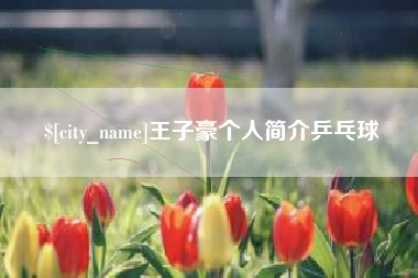 灯塔王子豪个人简介乒乓球