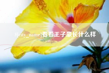 灯塔看看王子豪长什么样