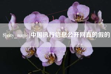 灯塔中国执行信息公开网真的假的
