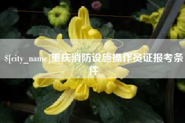 灯塔重庆消防设施操作员证报考条件