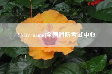 灯塔全国消防考试中心