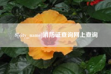 灯塔消防证查询网上查询