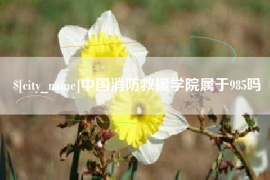 灯塔中国消防救援学院属于985吗