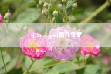 灯塔第九金是