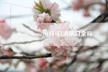 灯塔11月9日消防日全称