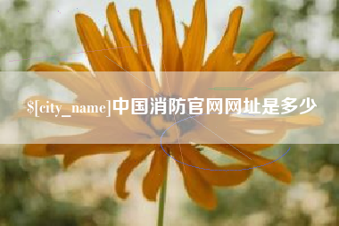 灯塔中国消防官网网址是多少