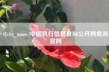 灯塔中国执行信息查询公开网查询官网