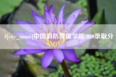 灯塔中国消防救援学院2020录取分