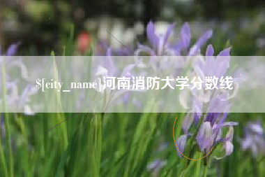 灯塔河南消防大学分数线
