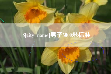 灯塔男子5000米标准