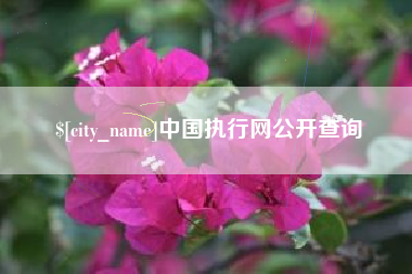 灯塔中国执行网公开查询