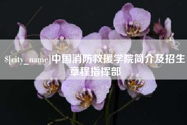 灯塔中国消防救援学院简介及招生章程指挥部