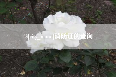 灯塔消防证的查询
