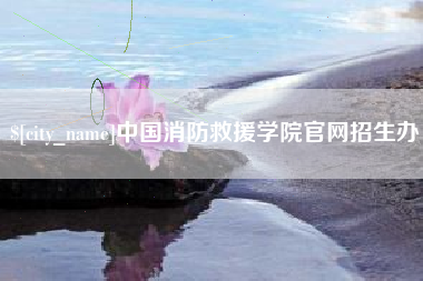 灯塔中国消防救援学院官网招生办
