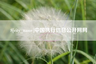 灯塔中国执行信息公开网网