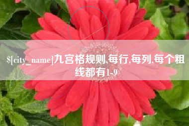 灯塔九宫格规则,每行,每列,每个粗线都有1-9