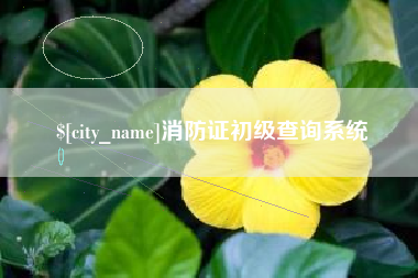 灯塔消防证初级查询系统