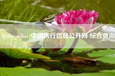 灯塔中国执行信息公开网 综合查询