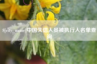 灯塔中国失信人员被执行人名单查询
