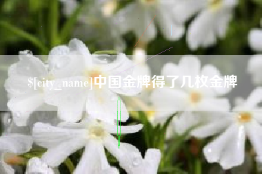 灯塔中国金牌得了几枚金牌