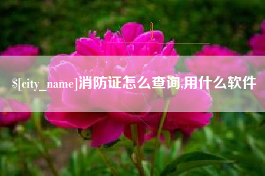 灯塔消防证怎么查询,用什么软件