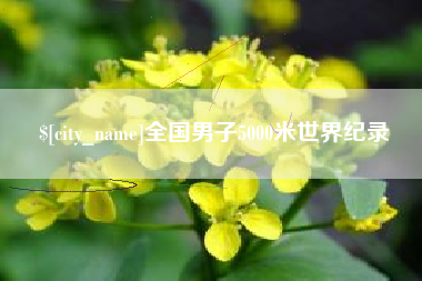 灯塔全国男子5000米世界纪录